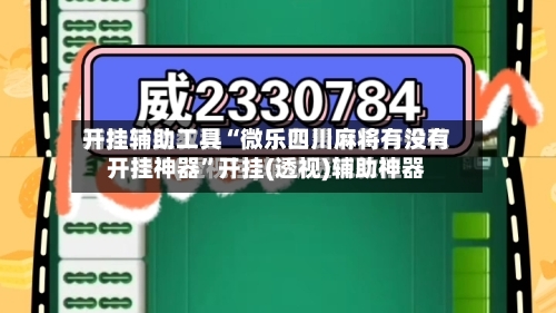 开挂辅助工具“微乐四川麻将有没有开挂神器”开挂(透视)辅助神器-第3张图片