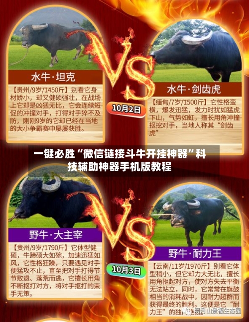 一键必胜“微信链接斗牛开挂神器	”科技辅助神器手机版教程-第2张图片
