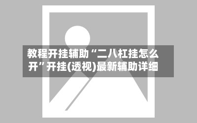 教程开挂辅助“二八杠挂怎么开	”开挂(透视)最新辅助详细-第3张图片
