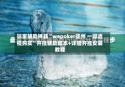 玩家辅助神器“wepoker德州 一键透视购买”开挂辅助脚本+详细开挂安装教程-第2张图片