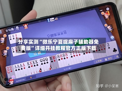 分享实测“微乐宁夏捉麻子辅助器免费版”详细开挂教程官方正版下载-第2张图片