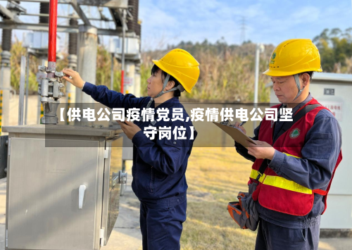 【供电公司疫情党员,疫情供电公司坚守岗位】-第2张图片