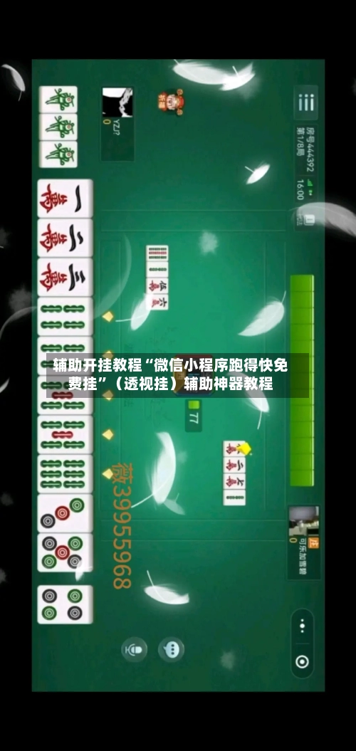 辅助开挂教程“微信小程序跑得快免费挂”（透视挂）辅助神器教程-第2张图片