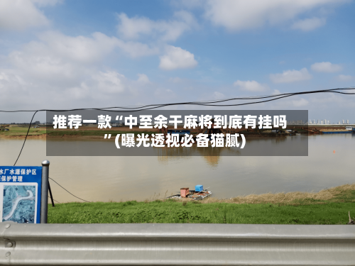推荐一款“中至余干麻将到底有挂吗”(曝光透视必备猫腻)-第2张图片