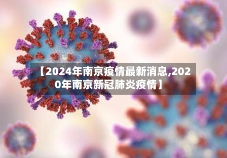 【2024年南京疫情最新消息,2020年南京新冠肺炎疫情】-第3张图片