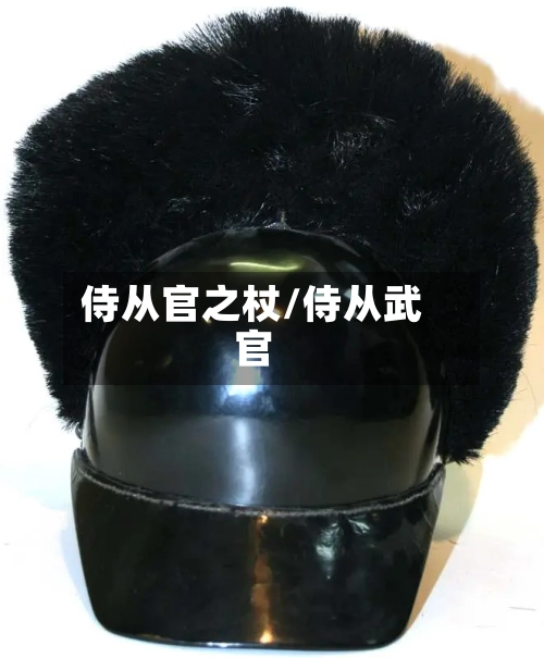 侍从官之杖/侍从武官-第2张图片