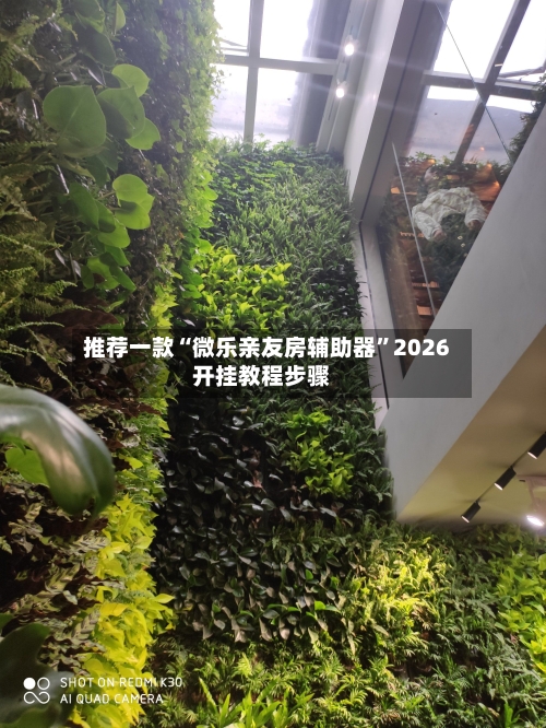 推荐一款“微乐亲友房辅助器”2026开挂教程步骤-第3张图片