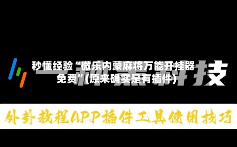 秒懂经验“微乐内蒙麻将万能开挂器免费”(原来确实是有插件)