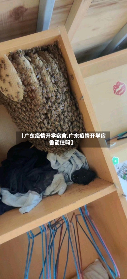 【广东疫情开学宿舍,广东疫情开学宿舍能住吗】-第2张图片