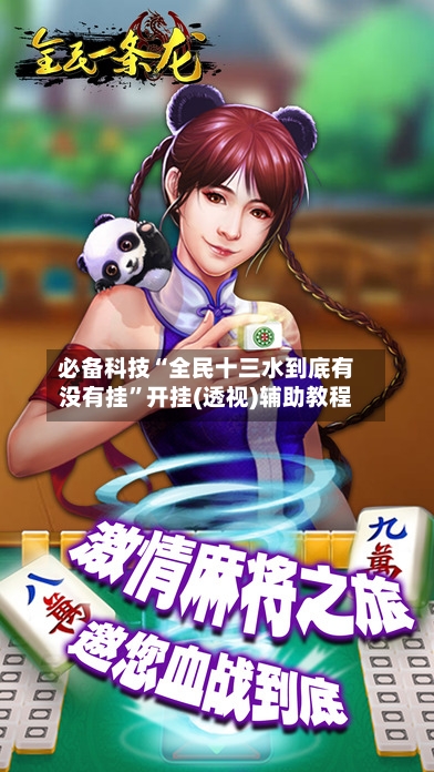 必备科技“全民十三水到底有没有挂”开挂(透视)辅助教程-第3张图片