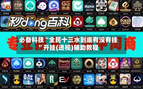 必备科技“全民十三水到底有没有挂”开挂(透视)辅助教程-第2张图片
