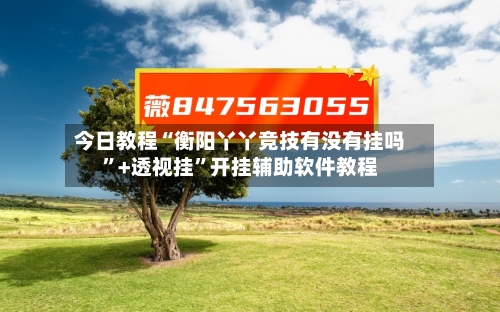 今日教程“衡阳丫丫竞技有没有挂吗”+透视挂”开挂辅助软件教程-第2张图片
