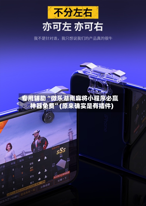 专用辅助“微乐湖南麻将小程序必赢神器免费”(原来确实是有插件)-第2张图片