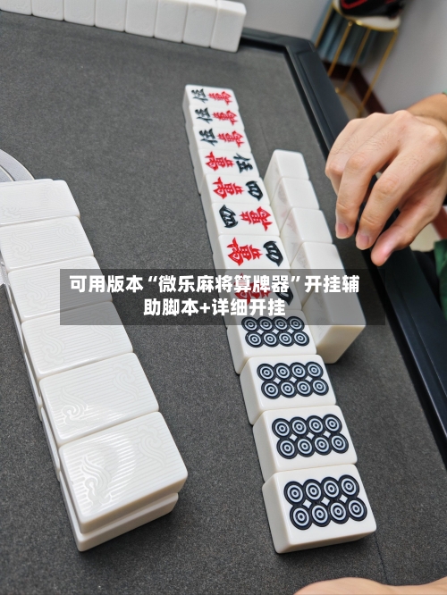 可用版本“微乐麻将算牌器”开挂辅助脚本+详细开挂-第3张图片