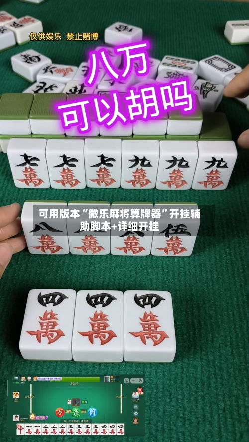 可用版本“微乐麻将算牌器”开挂辅助脚本+详细开挂-第2张图片
