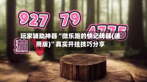 玩家辅助神器“微乐跑的快记牌器(通用版)	”真实开挂技巧分享-第3张图片