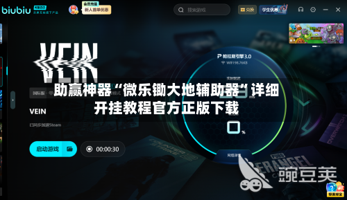 助赢神器“微乐锄大地辅助器”详细开挂教程官方正版下载-第2张图片