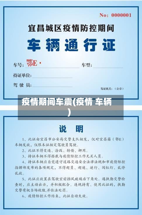 疫情期间车震(疫情 车辆)
