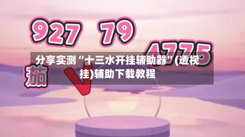 分享实测“十三水开挂辅助器”(透视挂)辅助下载教程-第3张图片