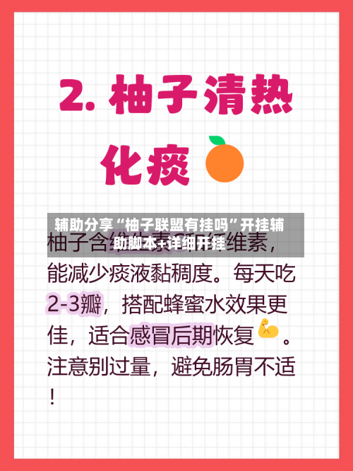 辅助分享“柚子联盟有挂吗”开挂辅助脚本+详细开挂-第2张图片