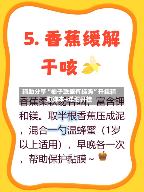 辅助分享“柚子联盟有挂吗”开挂辅助脚本+详细开挂-第3张图片