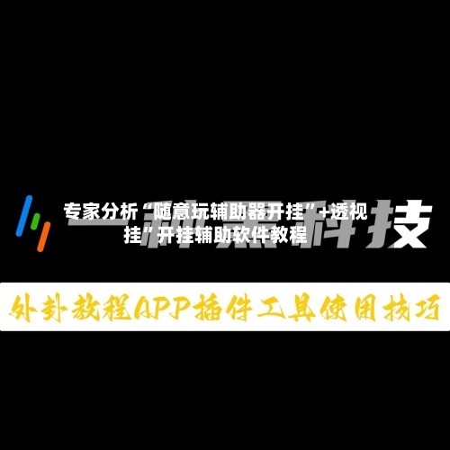 专家分析“随意玩辅助器开挂”+透视挂	”开挂辅助软件教程-第2张图片