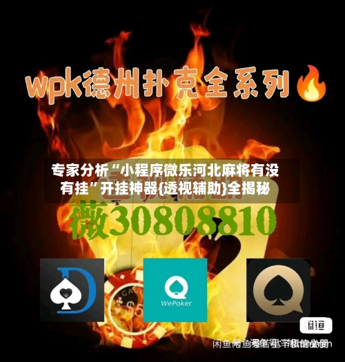 专家分析“小程序微乐河北麻将有没有挂”开挂神器{透视辅助}全揭秘-第3张图片