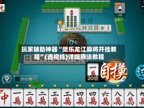 玩家辅助神器“微乐龙江麻将开挂教程”(透视挂)详细用法教程-第2张图片