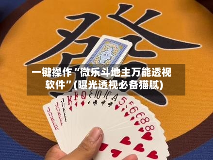 一键操作“微乐斗地主万能透视软件	”(曝光透视必备猫腻)-第2张图片