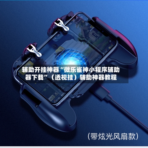 辅助开挂神器“微乐雀神小程序辅助器下载”（透视挂）辅助神器教程-第2张图片