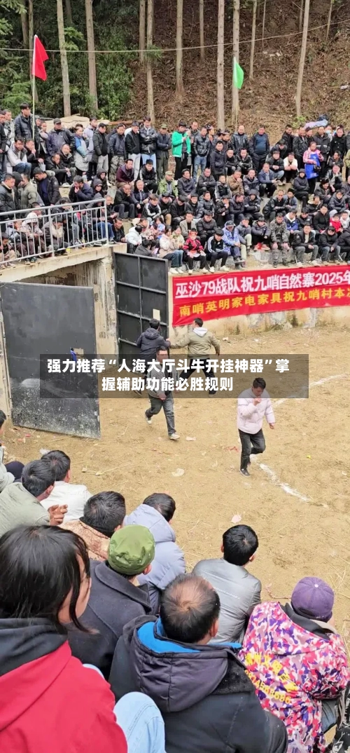 强力推荐“人海大厅斗牛开挂神器	”掌握辅助功能必胜规则-第2张图片