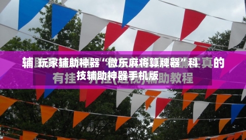 玩家辅助神器“微乐麻将算牌器	”科技辅助神器手机版-第2张图片