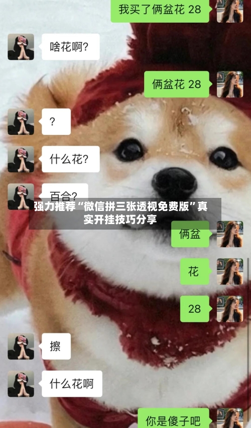 强力推荐“微信拼三张透视免费版	”真实开挂技巧分享-第2张图片