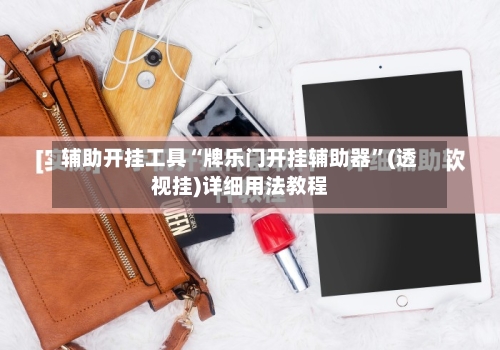 辅助开挂工具“牌乐门开挂辅助器	”(透视挂)详细用法教程-第2张图片