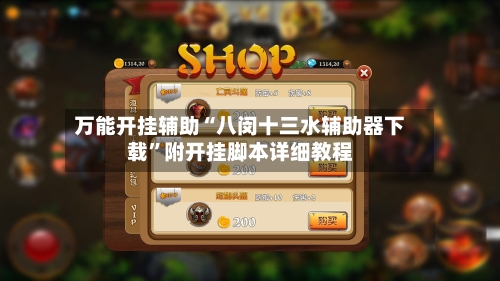 万能开挂辅助“八闵十三水辅助器下载”附开挂脚本详细教程-第3张图片