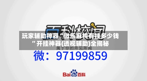 玩家辅助神器“微乐麻将有挂多少钱	”开挂神器{透视辅助}全揭秘-第2张图片