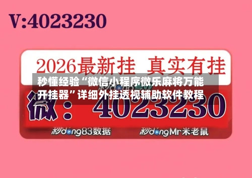 秒懂经验“微信小程序微乐麻将万能开挂器”详细外挂透视辅助软件教程-第3张图片