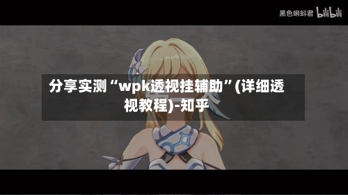 分享实测“wpk透视挂辅助”(详细透视教程)-知乎-第3张图片