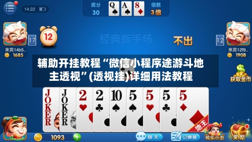 辅助开挂教程“微信小程序途游斗地主透视”(透视挂)详细用法教程-第2张图片