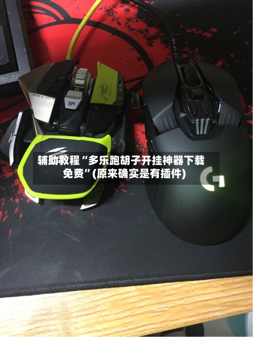 辅助教程“多乐跑胡子开挂神器下载免费	”(原来确实是有插件)-第2张图片