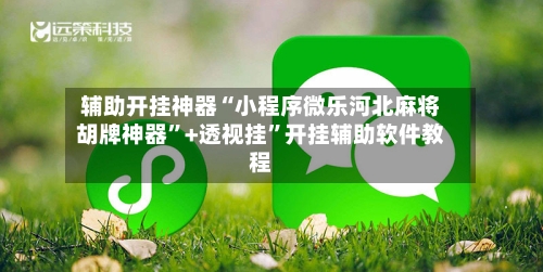 辅助开挂神器“小程序微乐河北麻将胡牌神器	”+透视挂”开挂辅助软件教程-第2张图片