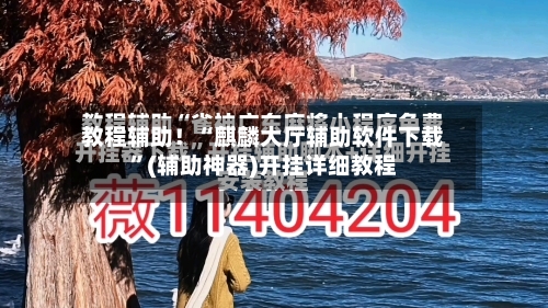 教程辅助！“麒麟大厅辅助软件下载”(辅助神器)开挂详细教程-第2张图片