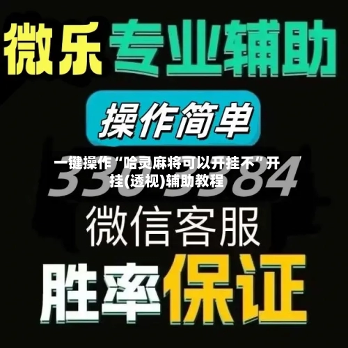 一键操作“哈灵麻将可以开挂不	”开挂(透视)辅助教程-第2张图片