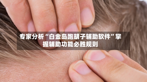 专家分析“白金岛跑胡子辅助软件	”掌握辅助功能必胜规则-第2张图片