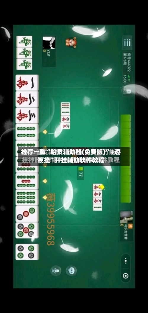 推荐一款“哈灵辅助器(免费版)”+透视挂”开挂辅助软件教程-第2张图片