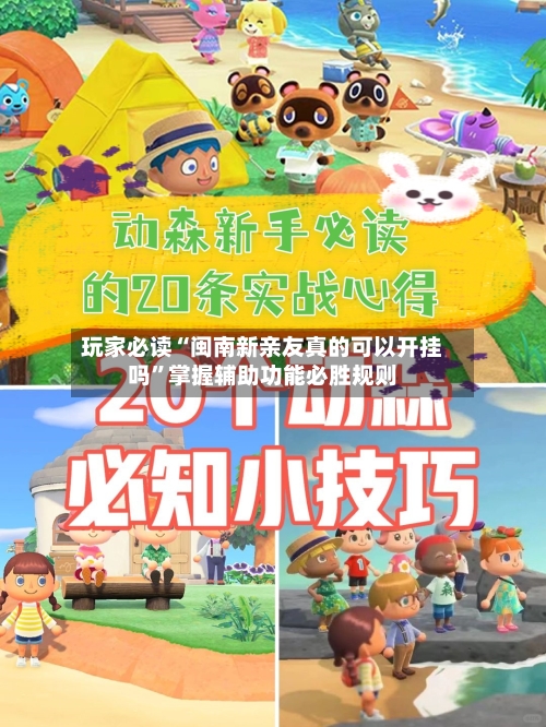 玩家必读“闽南新亲友真的可以开挂吗”掌握辅助功能必胜规则-第2张图片