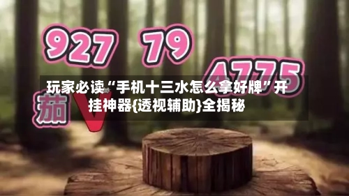 玩家必读“手机十三水怎么拿好牌	”开挂神器{透视辅助}全揭秘-第2张图片