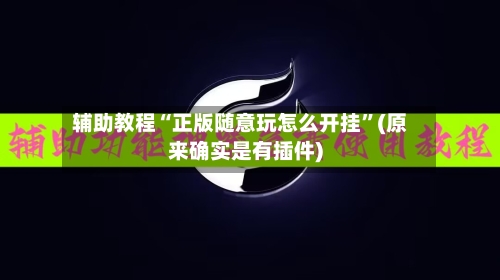 辅助教程“正版随意玩怎么开挂”(原来确实是有插件)-第2张图片