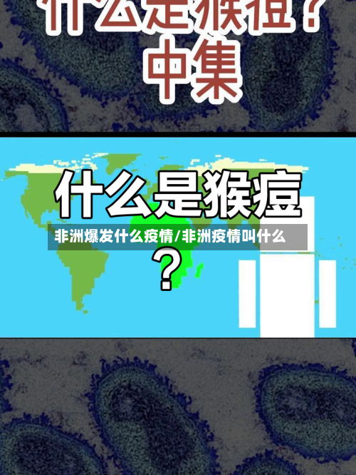 非洲爆发什么疫情/非洲疫情叫什么-第3张图片