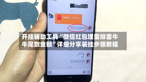开挂辅助工具“微信红包埋雷排雷牛牛尾数金额	”详细分享装挂步骤教程-第2张图片